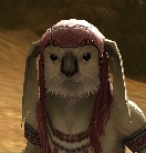21cqguhh.png