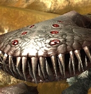 cmnmt41g.png