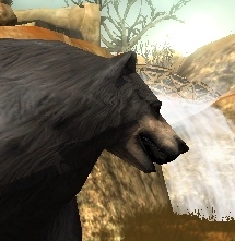 g0d4kp2y.png