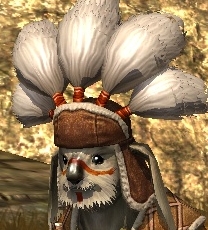 nhbbtzwg.png
