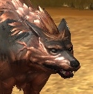 sbtkyitb.png