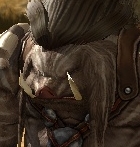 zbqpvhx1.png