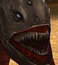 zv33dh0m.png